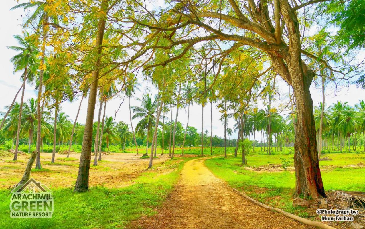 Arachiwil Green Nature Resort Puttalam Exterior foto